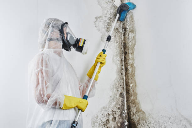 Water Damage Restoration in Freeport, TX
