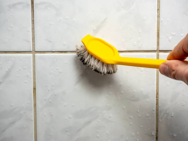 Best Office Mold Removal Services  in Freeport, TX