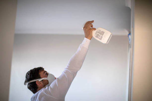 Best Home Mold Removal  in Freeport, TX