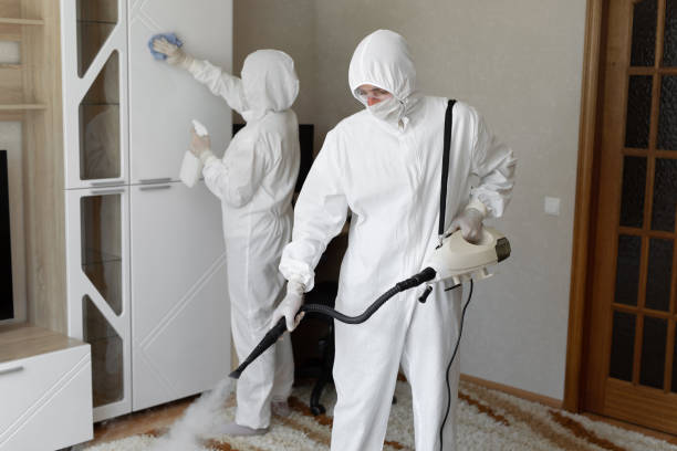 Office Mold Removal Services in Freeport, TX