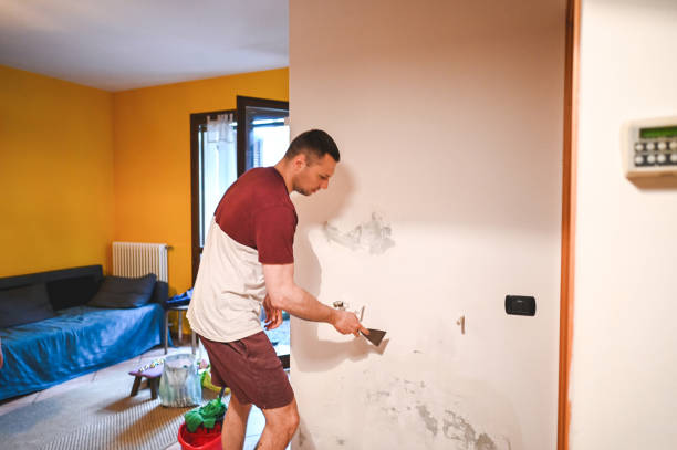 Office Mold Removal Services in Freeport, TX