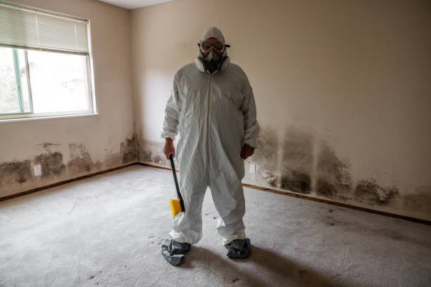 Best Crawl Space Mold Removal  in Freeport, TX